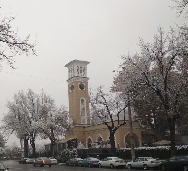 Снег в Ташкенте - Sputnik Узбекистан