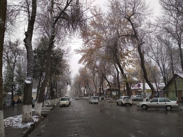 Sneg v Tashkente - Sputnik O‘zbekiston