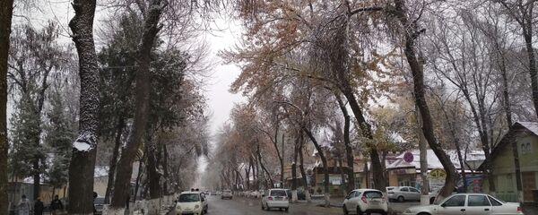 Снег в Ташкенте Снег в Ташкенте - Sputnik Ўзбекистон