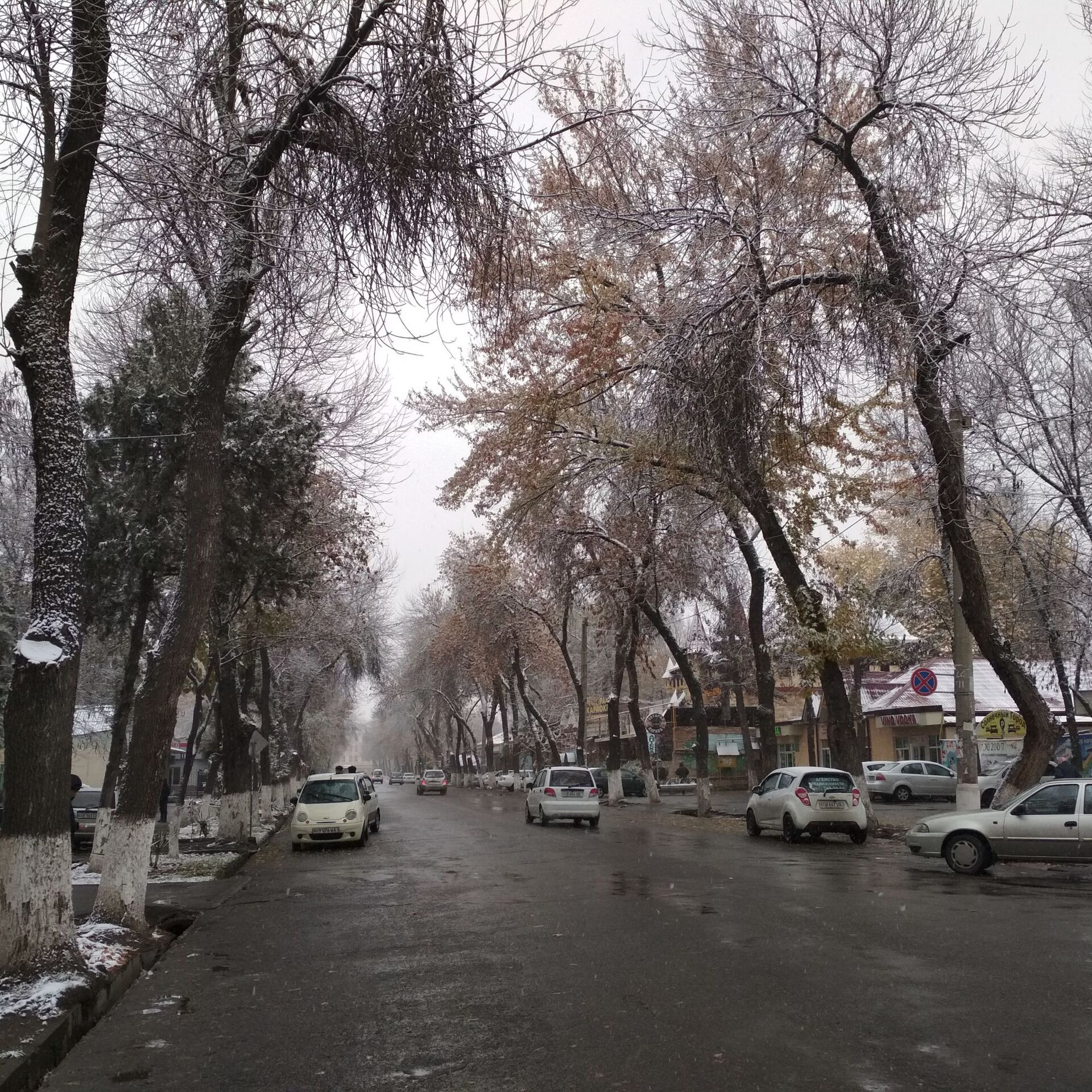 Ташкент в реальном времени. Ташкент улицы. Снег в Ташкенте. Ташкент зимой. Зима в Ташкенте.