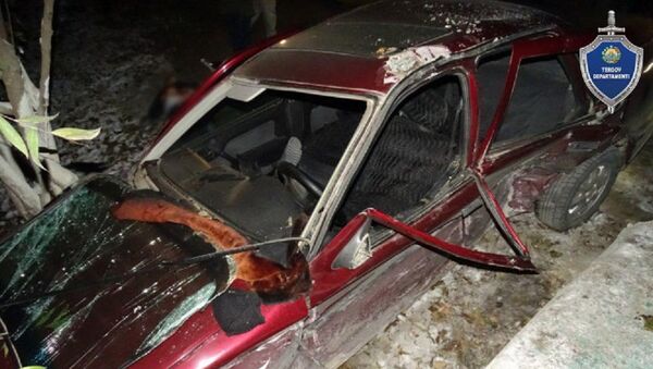 Гражданин Таджикистана уснул за рулем и погиб под Самаркандом - Sputnik Узбекистан