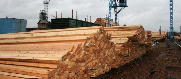 ОПГ занималась контрабандой леса из Томской области в Узбекистан - Sputnik Узбекистан