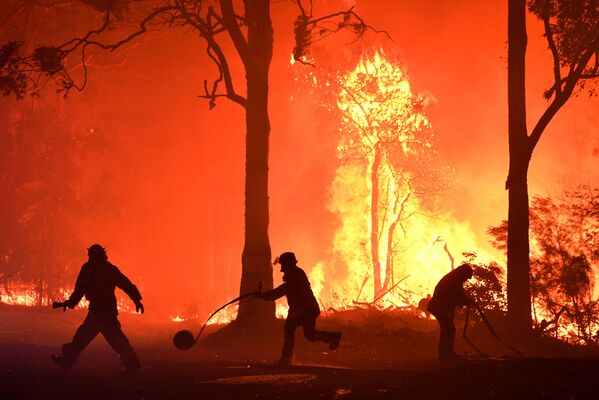 Волонтеры, пожарные и спасатели из Нового Южного Уэльса тушат пожар неподалеку от деревни Термейл, Австралия - Sputnik Узбекистан