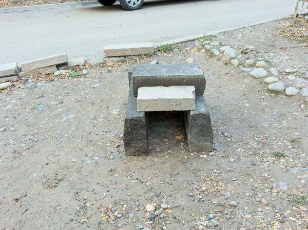 Забота о братьях меньших: в Ташкенте установили еще два котодомика – фото - Sputnik Узбекистан