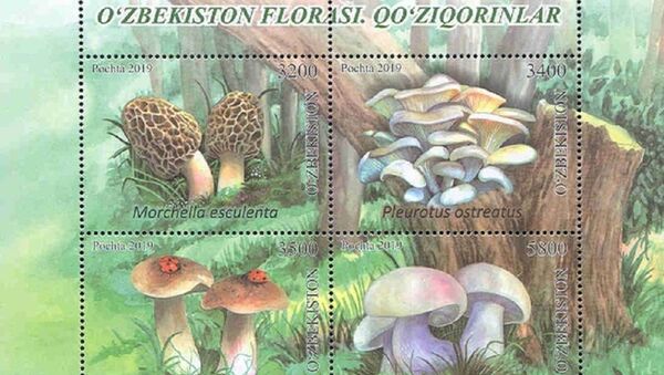 Флора Узбекистана: вышли в свет новые почтовые марки с грибами - Sputnik Узбекистан