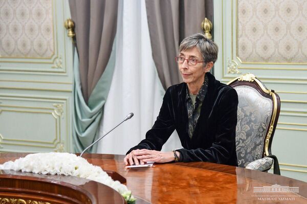 Президент Узбекистана принял главу миссии БДИПЧ ОБСЕ по наблюдению за выборами - Sputnik Узбекистан