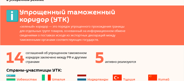 Как работает упрощенный таможенный коридор между РФ и Узбекистаном - Sputnik Узбекистан