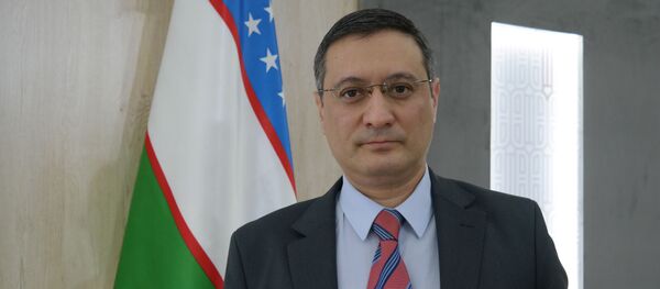 Замдиректора ИСМИ Санжар Валиев Замдиректора ИСМИ Санжар Валиев - Sputnik Ўзбекистон