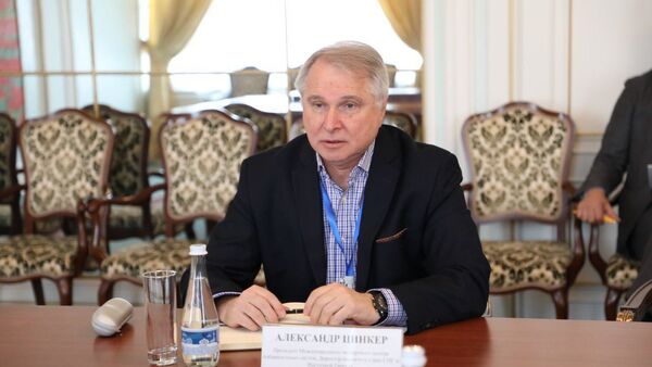 Директор Международного экспертного центра избирательных систем Александр Цинкер - Sputnik Узбекистан