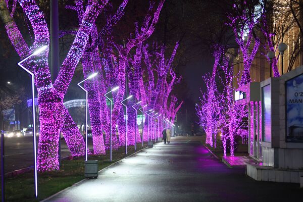 Улица Навои в Ташкенте на время новогодних праздников превратилась в сказочный лес - Sputnik Узбекистан