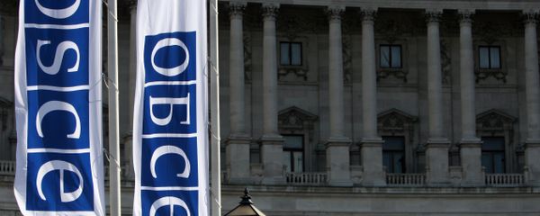 Флаги ОБСЕ Флаги ОБСЕ - Sputnik Узбекистан