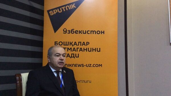 Ильяс Умаханов оценил организацию парламентских выборов в Узбекистане - Sputnik Узбекистан