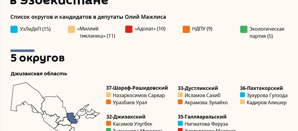 В каких округах пройдут повторные выборы - список кандидатов - Sputnik Узбекистан