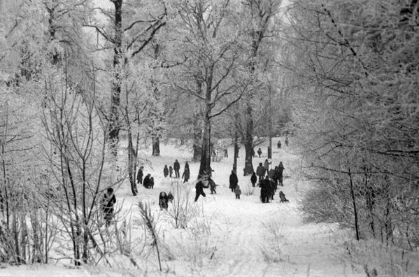 Жители московского микрорайона Ясенево на прогулке в зимнем парке - Sputnik Узбекистан