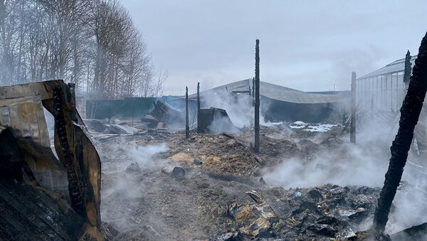 В Подмосковье произошел пожар на территории тепличного комплекса - Sputnik Ўзбекистон