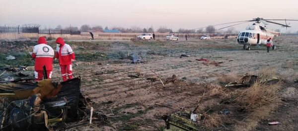 Кадры с места крушения украинского самолёта в Иране Кадры с места крушения украинского самолёта в Иране - Sputnik Ўзбекистон