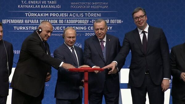 Президенты России и Турции дали старт Турецкому потоку - Sputnik Узбекистан