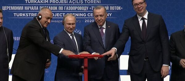 Президенты России и Турции дали старт Турецкому потоку - Sputnik Ўзбекистон