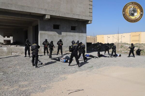 В Узбекистане задержаны члены течения Джихадисты* - Sputnik Узбекистан