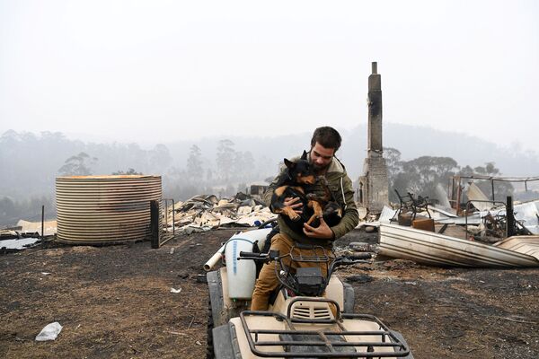 Мужчина с собакой на фоне сгоревшего дома в Австралии - Sputnik Узбекистан