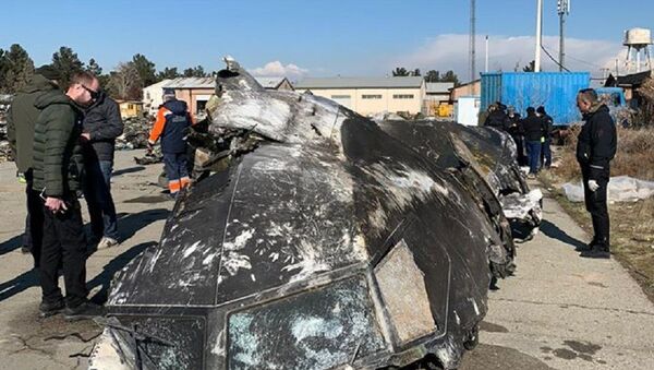 Фрагменты сбитого в Иране украинского самолета - Sputnik Узбекистан