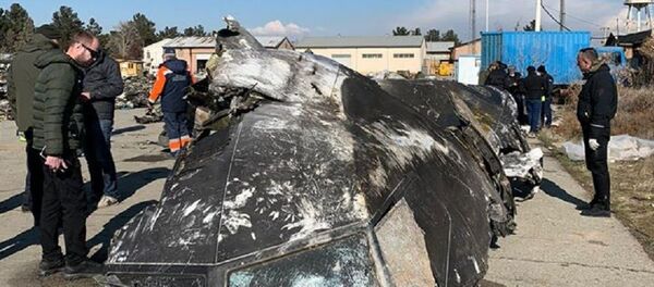 Фрагменты сбитого в Иране украинского самолета - Sputnik Узбекистан