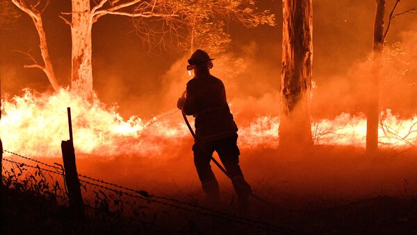 Пожарный во время тушения лесных пожаров в Австралии - Sputnik Узбекистан