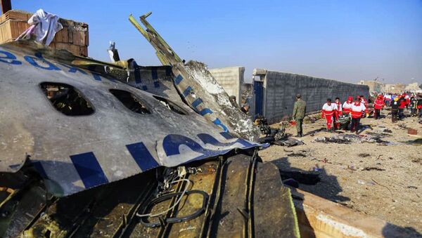 Украинский пассажирский самолет потерпел крушение в Иране - Sputnik Ўзбекистон