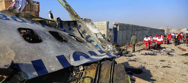 Ukrainskiy passajirskiy samolet poterpel krushenie v Irane - Sputnik O‘zbekiston