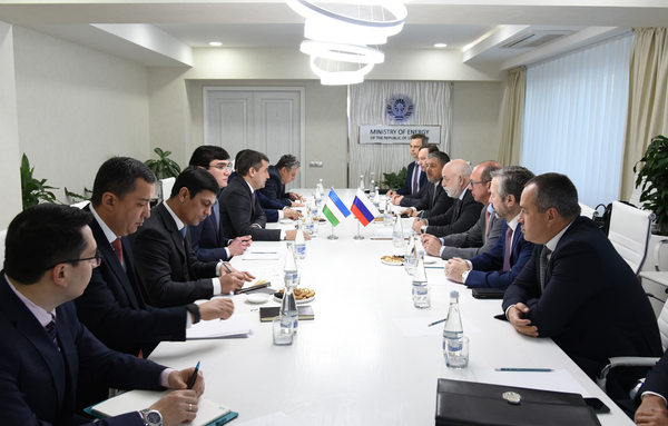 Российская Ренова хочет строить гелиостанции в Узбекистане - Sputnik Узбекистан