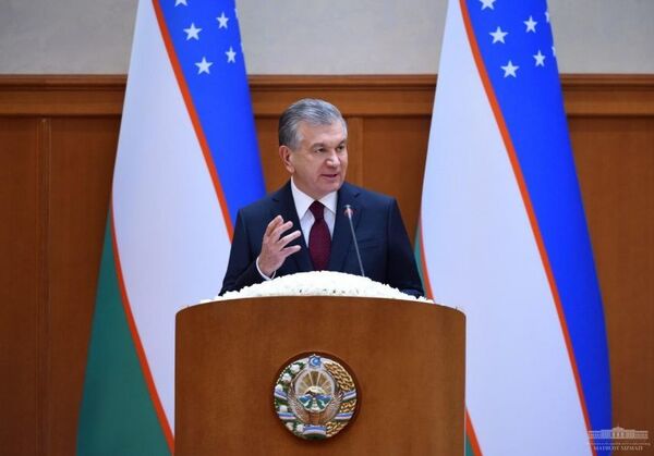 Председателем Сената Олий Мажлиса избрана Танзила Нарбаева - Sputnik Узбекистан