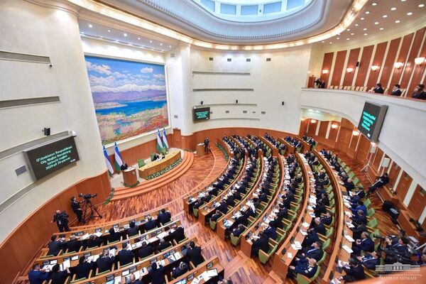 Заседание Сената Олий Мажлиса - Sputnik Узбекистан