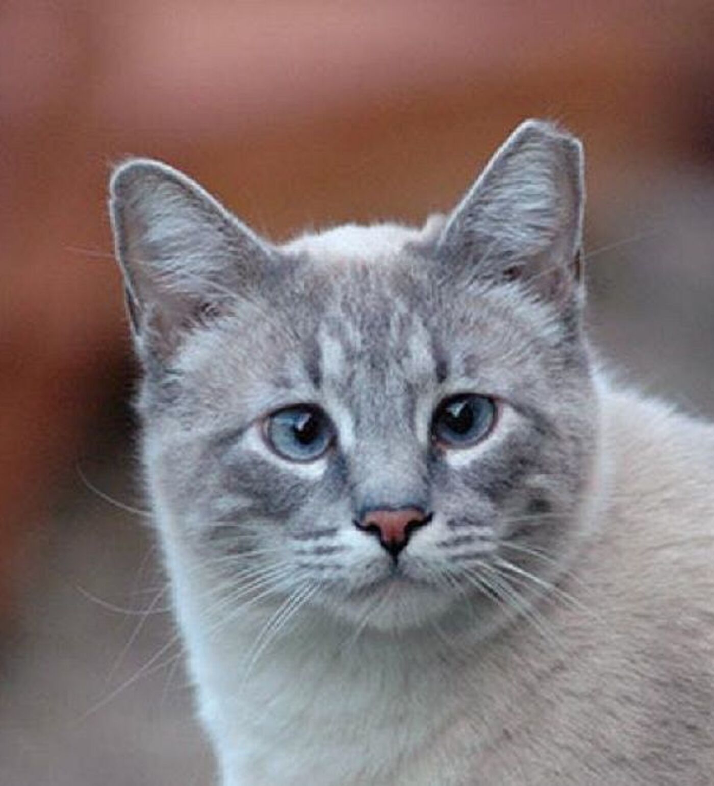 Onlayn onam porno videolarini tomosha qiling