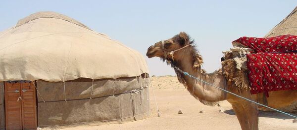 Ellik-kala, Karakalpakstan Ellik-kala, Karakalpakstan - Sputnik O‘zbekiston