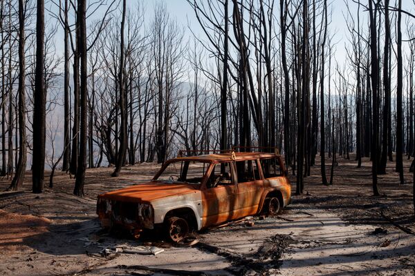 Сгоревшая машина в Долине Кенгуру в Австралии после лесных пожаров - Sputnik Узбекистан