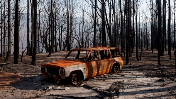 Сгоревшая машина в Долине Кенгуру в Австралии после лесных пожаров - Sputnik Узбекистан