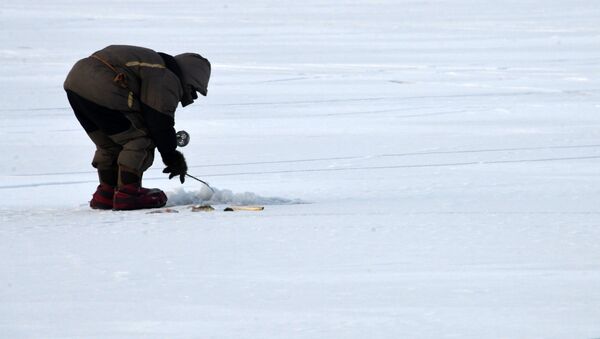 Зимняя подледная рыбалка на Иван-Озере - Sputnik Узбекистан