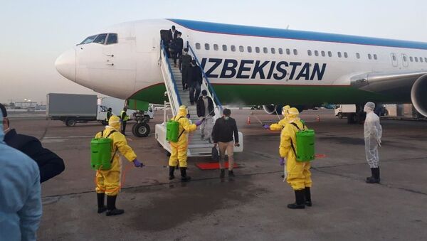 Узбекистанцы прибыли чартерным рейсом из Китая - Sputnik Ўзбекистон