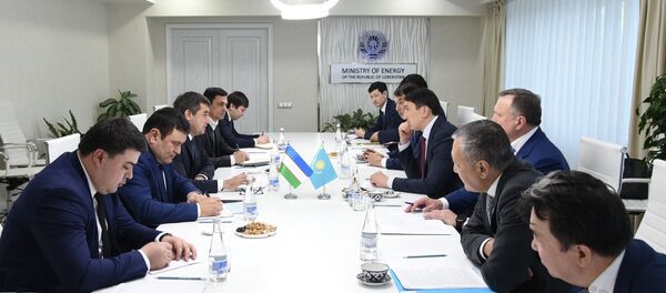 Встреча делегаций Узбекистана и Казахстана в МинЭнерго Узбекистана - Sputnik Ўзбекистон
