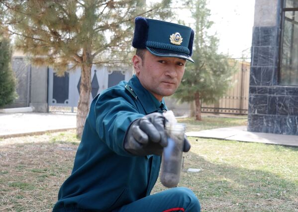 Кинологическая служба УВД по Ташкентской области - Sputnik Узбекистан