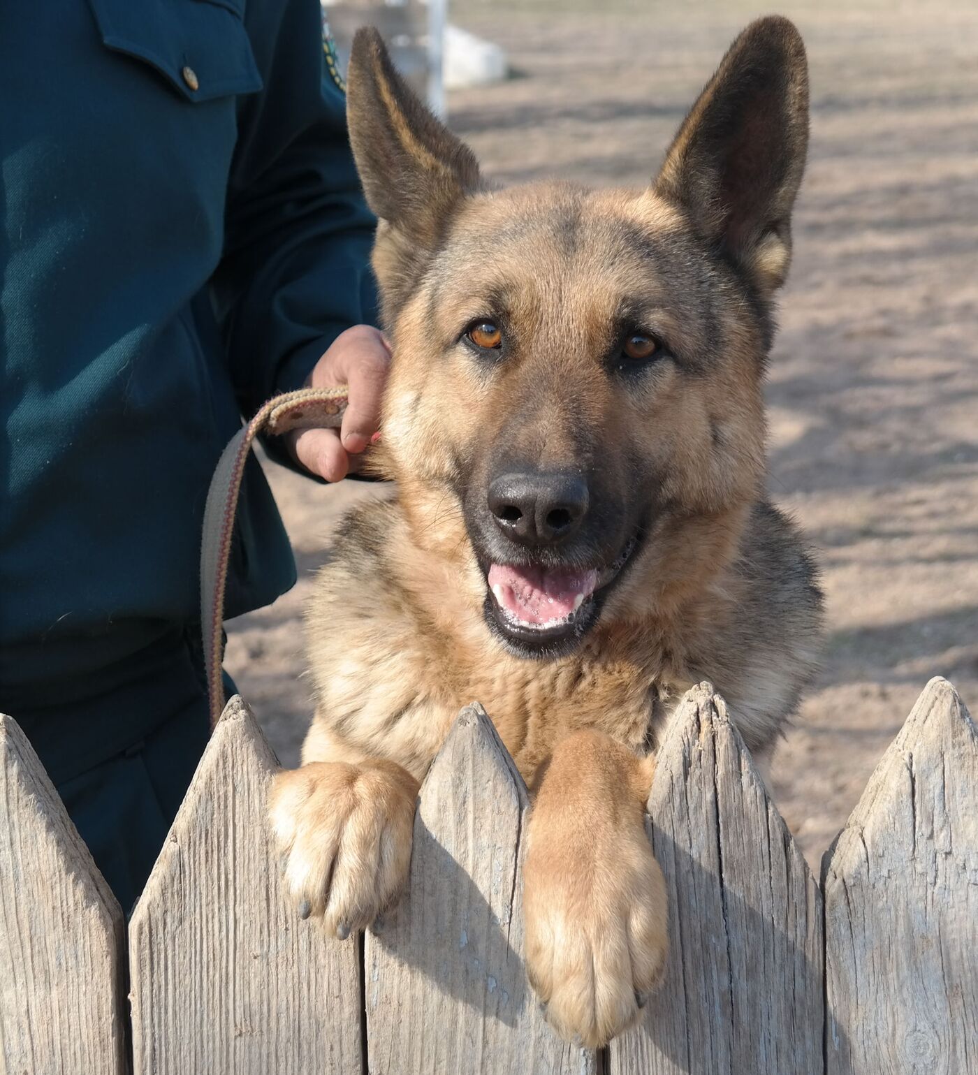 Dushdagi talaba bilan jinsiy aloqa