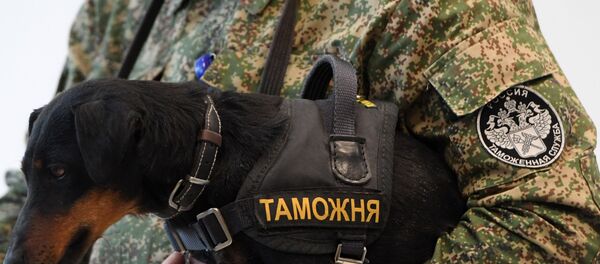 Работа таможенного поста аэропорта Казань - Sputnik Узбекистан