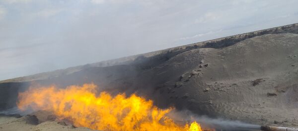 В Бухаре выявлены новые запасы газа на глубине 2000 метров В Бухаре выявлены новые запасы газа на глубине 2000 метров - Sputnik Ўзбекистон