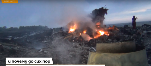 В Сети появились новые документы по делу о крушении MH17 - Sputnik Узбекистан