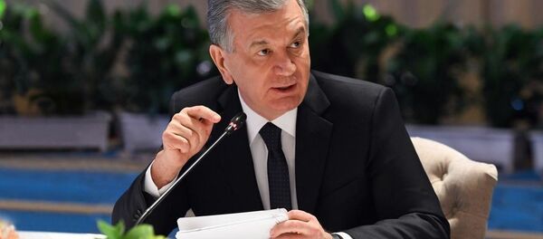 Президент Шавкат Мирзиёев в Анкаре провел встречу с главами ведущих турецких компаний и банков Президент Шавкат Мирзиёев в Анкаре провел встречу с главами ведущих турецких компаний и банков - Sputnik Узбекистан