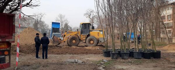 Высадка деревьев в парке  Высадка деревьев в парке  - Sputnik Ўзбекистон