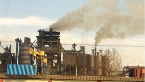В Андижане приостановили работу цементного завода из-за качества воздуха - Sputnik Ўзбекистон