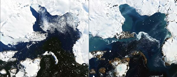 Спутниковые снимки таяния льдов на острове Орла (Eagle Island)в Антарктиде. На фото слева 4 февраля 2020, справа - 13 февраля 2020 Спутниковые снимки таяния льдов на острове Орла (Eagle Island)в Антарктиде. На фото слева 4 февраля 2020, справа - 13 февраля 2020 - Sputnik Ўзбекистон