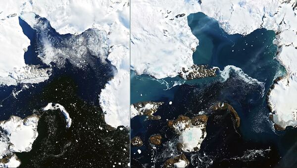 Спутниковые снимки таяния льдов на острове Орла (Eagle Island)в Антарктиде. На фото слева 4 февраля 2020, справа - 13 февраля 2020 - Sputnik Ўзбекистон