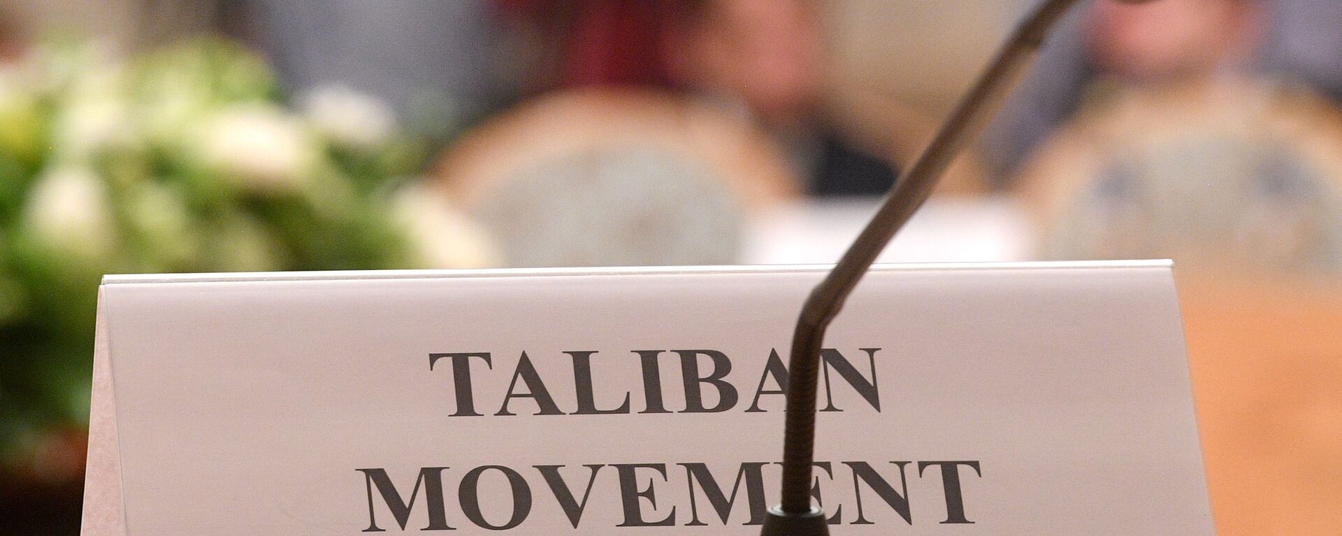 Tablichka na stole predstaviteley dvijeniya Taliban  - Sputnik O‘zbekiston, 1920, 09.07.2021